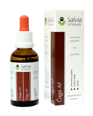 Salvia Veterinär Chaga AF 50 ml